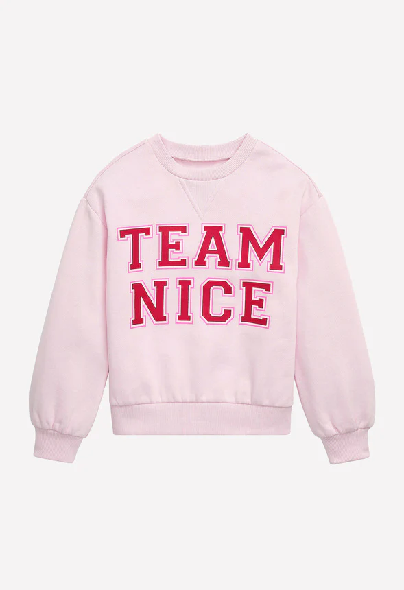 Team Nice Sweatshirt - Image 2